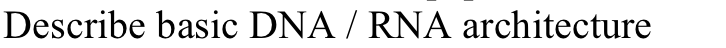 Question: Describe basic DNA/RNA architecture