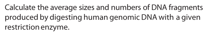 Question: Calculate the average sizes and numbers of DNA fragments produced by digesting human genomic DNA ...