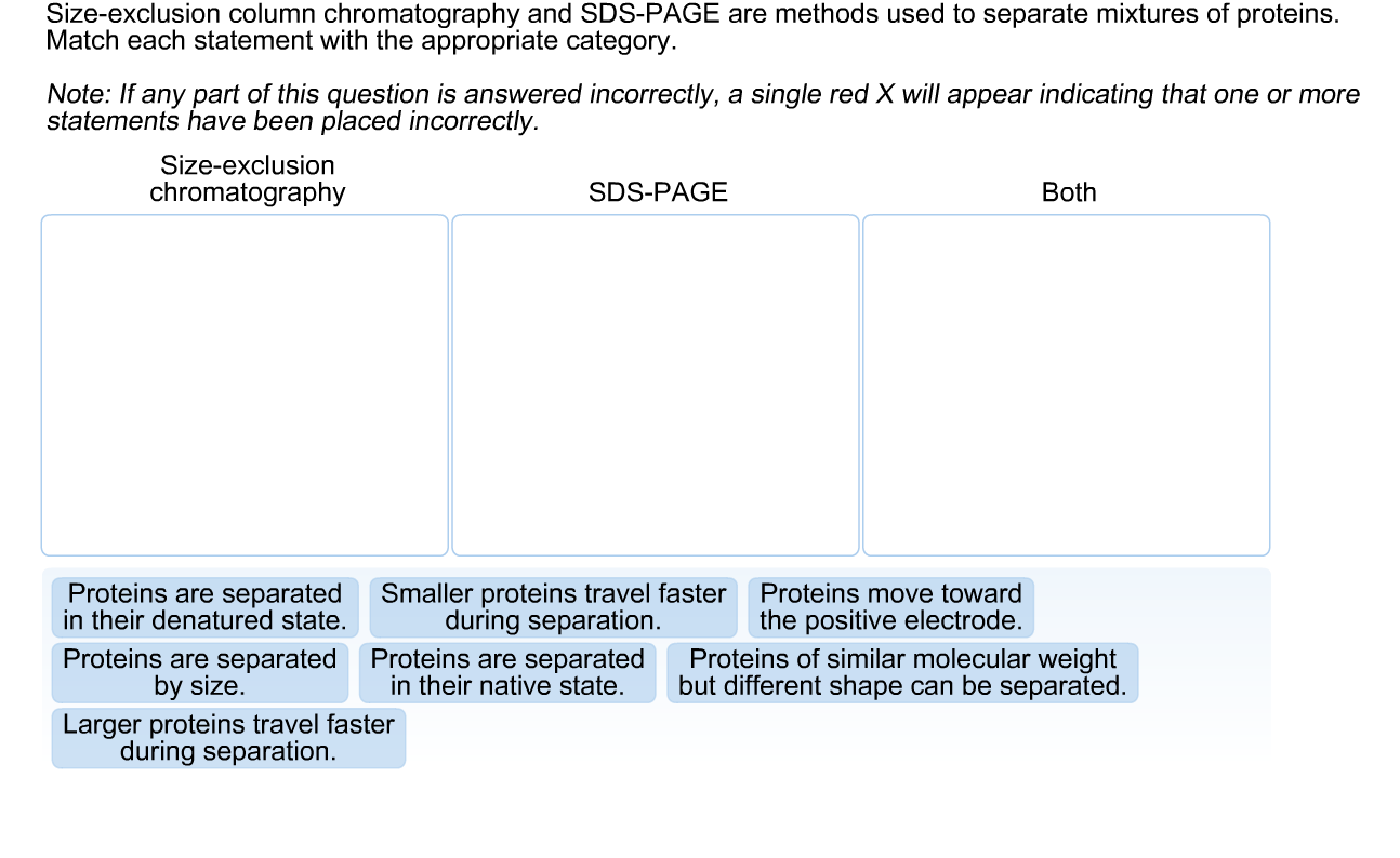 Solved Sizeexclusion Column Chromatography And SDSPAGE