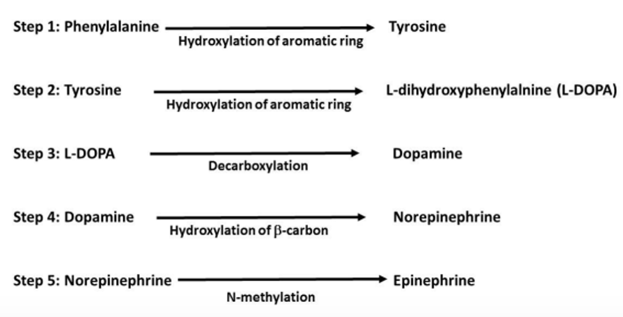 Biochemistry Help A) The stepwise reactions for the | Chegg.com, image size:2046x1043