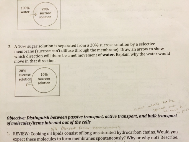 Solved A 10% sugar solution is separated from a 20% | Chegg.com