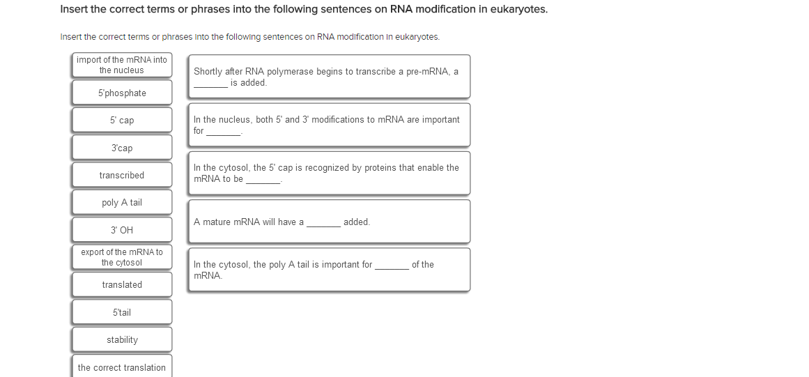 Question: Insert the correct terms or phrases into the following sentences on RNA modification in eukaryote...