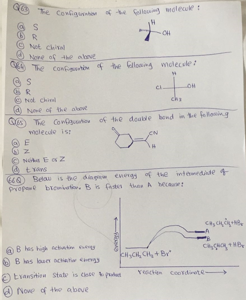 What are the 5 different types of essays image