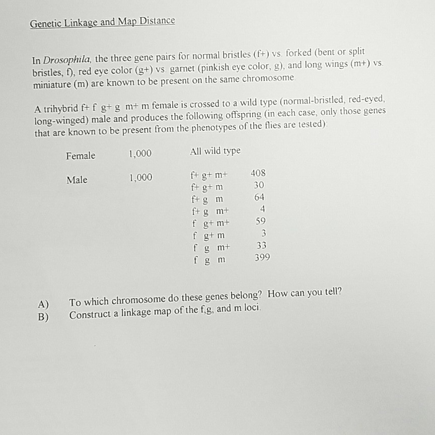 Apush long essay questions and answers image