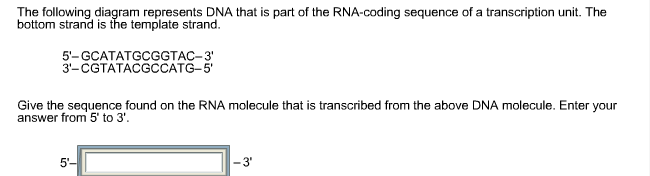 Question: The following diagram represents DNA that is part of the RNA-coding sequence of a transcription u...
