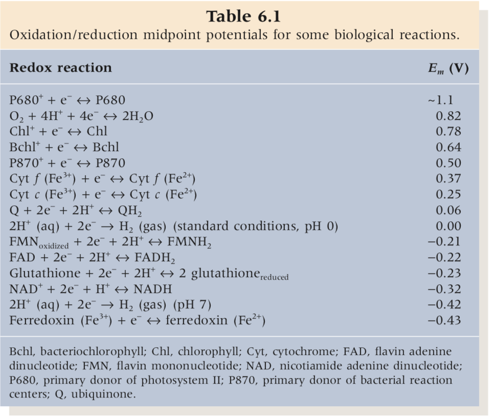 glutathione reduced cell culture Cellular Compartmentalization, Glutathione Transport and Its Relevance in  Some Pathologies