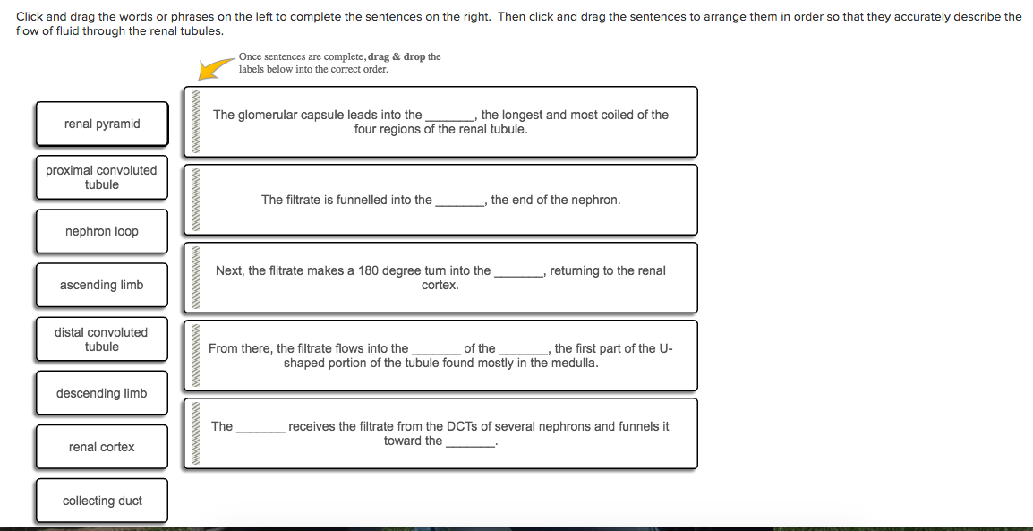 Question: Click and drag the words or phrases on the left tocomplete the sentences on the right. Then clic...