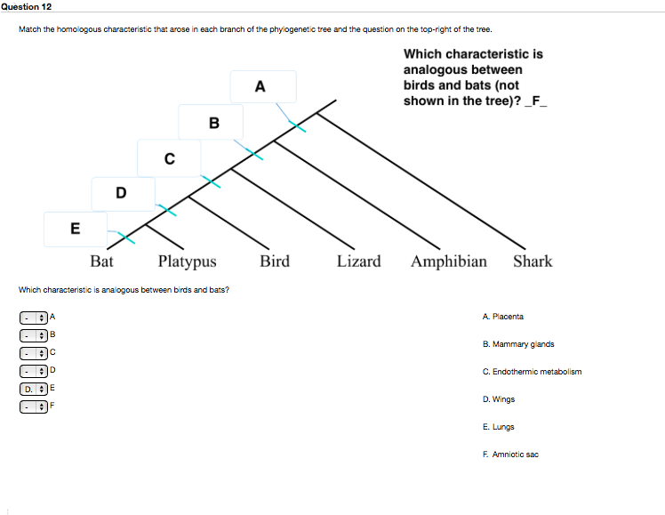 Question: Match the homologous characteristic that arose in each branch of the phylogenetic tree and the qu...