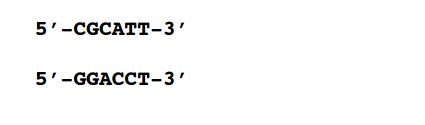 Question: Your graduate advisor asks you to amplify the following sequenceof DNA by PCR:a) To ensure tha...