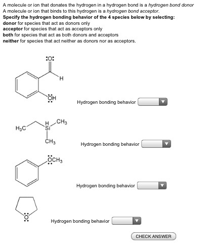 hydrogen ion bonding