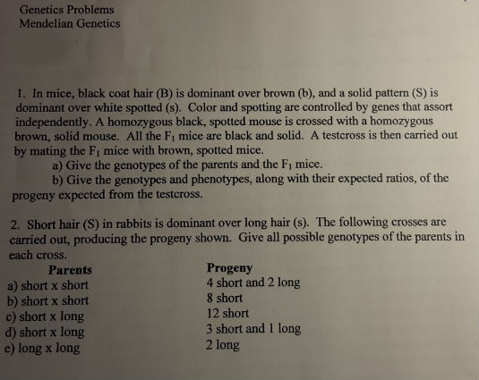 Question: In mice, black coat hair (B) is dominant over brown (b), and a solid pattern (S) is dominant over...