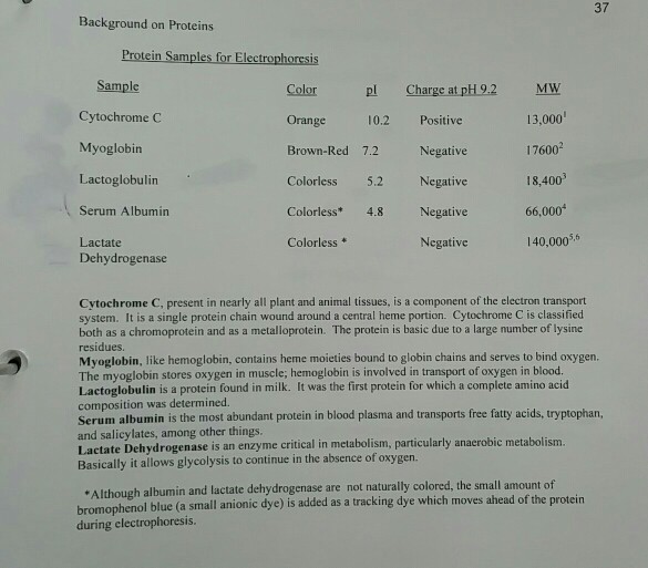 Question: Explain all answers in complete sentences (6pts) L a. Sketch the location of the proteins in well...