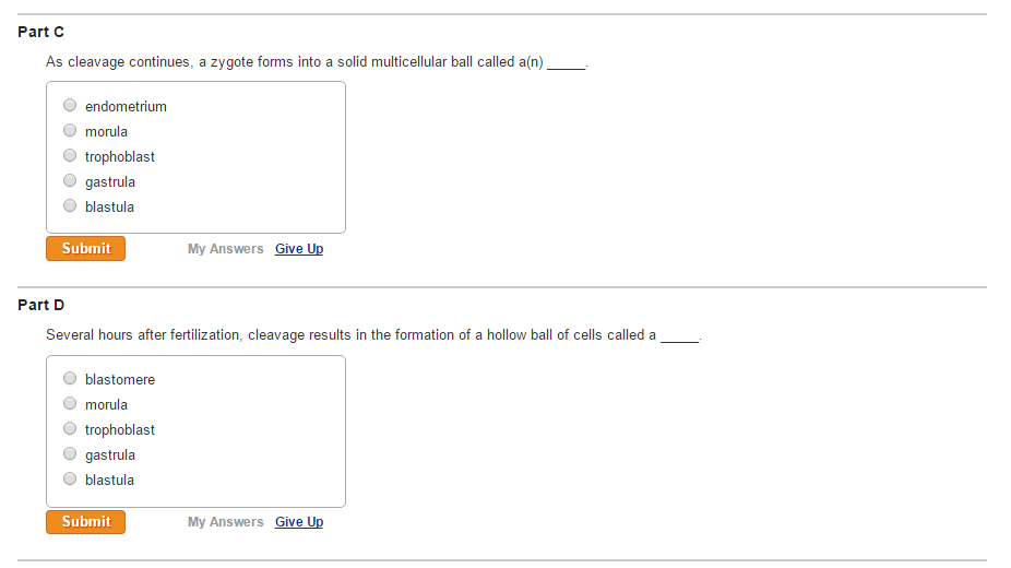 Question: Questions on sea urchin fertilizationIn sea urchins, the process offertilization produces a(n) _...