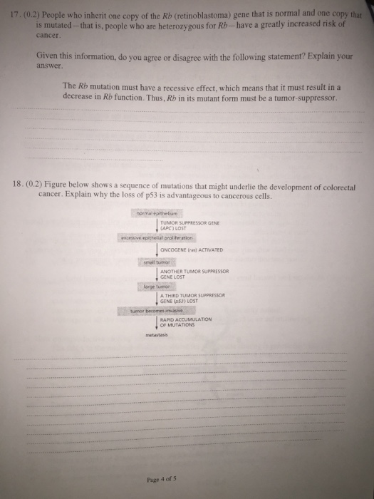 Question: People who inherit one copy of the Rb (retinoblastoma) gone that is normal and one copy that  is ...