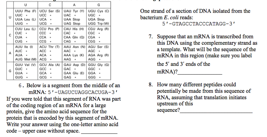 Mrna sequence picture