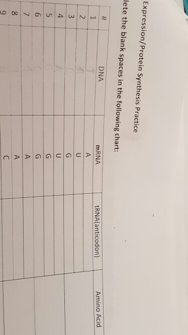 Question: Expression/Protein Synthesis Practice  Complete the blank spaces in the following chart: