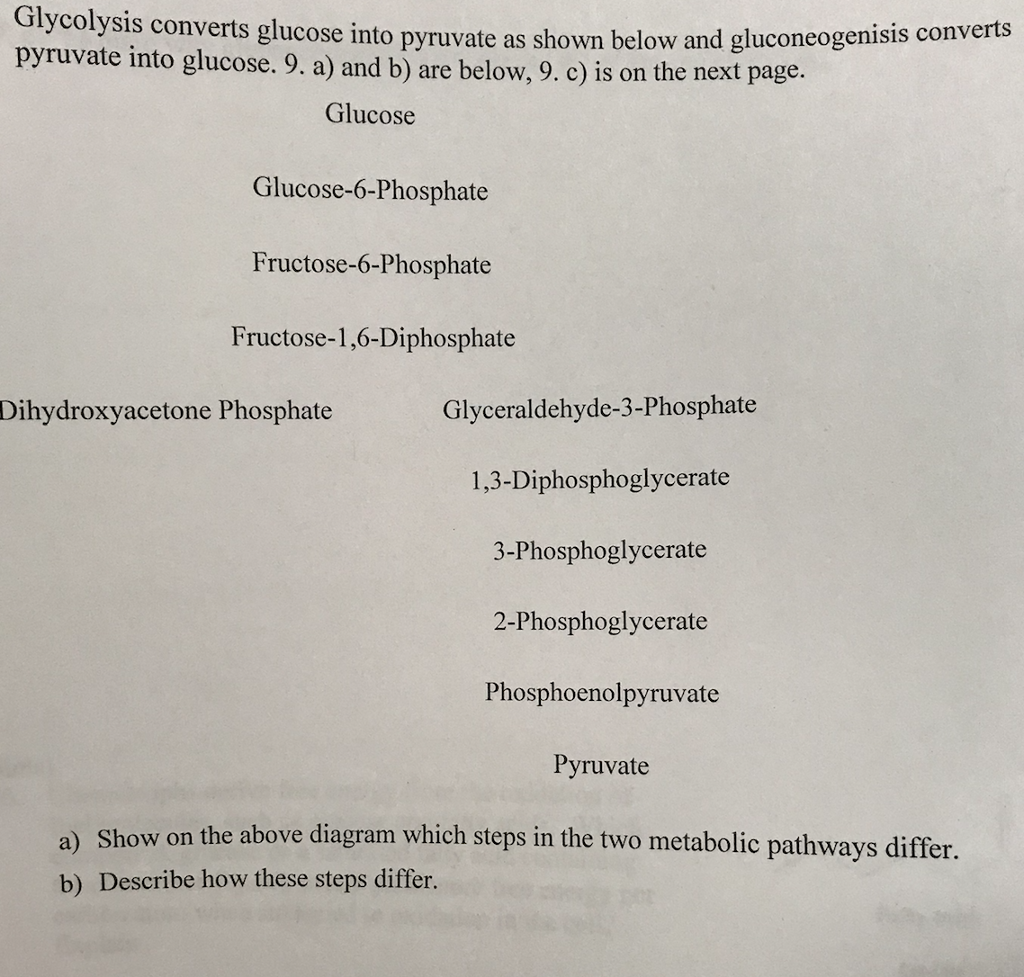 Question: Glycolysis converts glucose into pyruvate as shown below and gluconeogenisis converts pyruvate in...