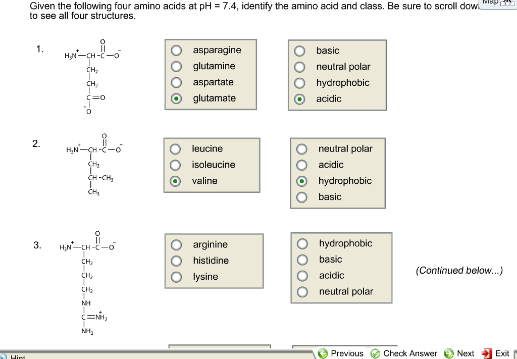 Solved Given The Following Four Amino Acids At PH 7.4, Id...