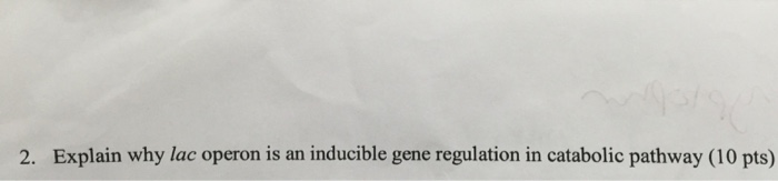 Question: Explain why lac operon is an inducible gene regulation in catabolic pathway
