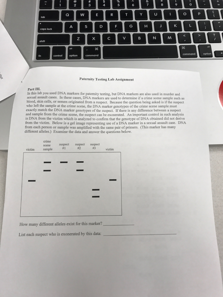 Question: Caps lock B N M control option command option Paternity Testing Lab Assignment Part III. In this ...
