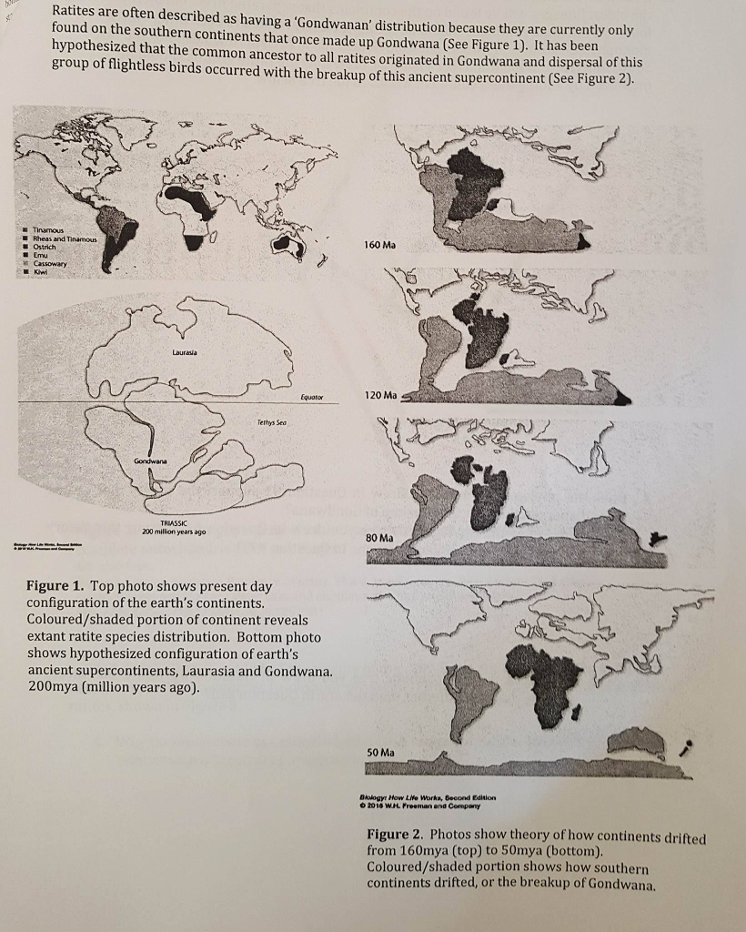 Question: Please help with biology questions. this is my second timeposting it... update it with the a big...