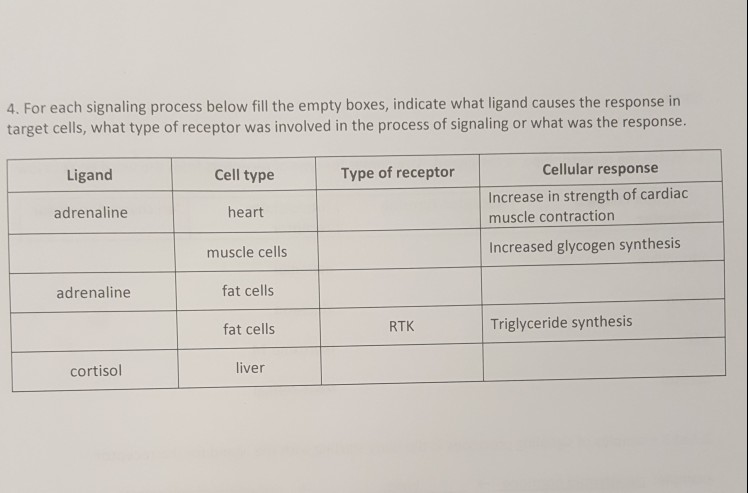 10 steps in synthesizing pieces of information picture