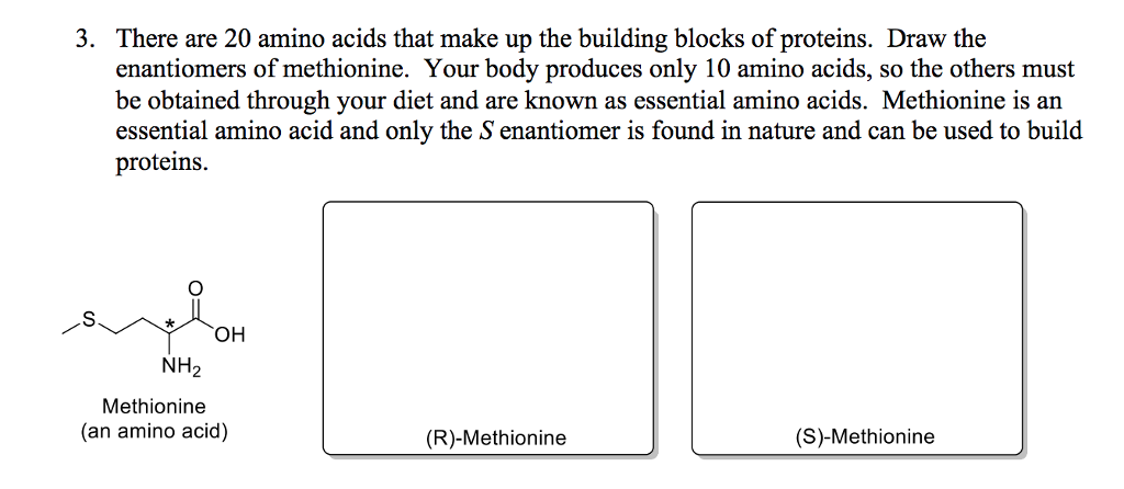 solved 3 there are 20 amino acids that make up the build the building blocks of proteins are