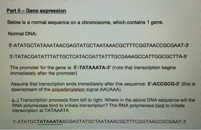 Question: E. Show the sequence of amino acid for which this mutated DNAcodes.F. What type of mutation is...