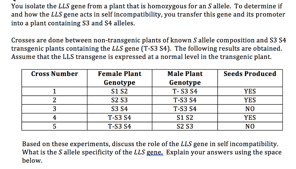 Question: You isolate the LLS gene from a plant that is homozygous for an S allele. To determine if and how...