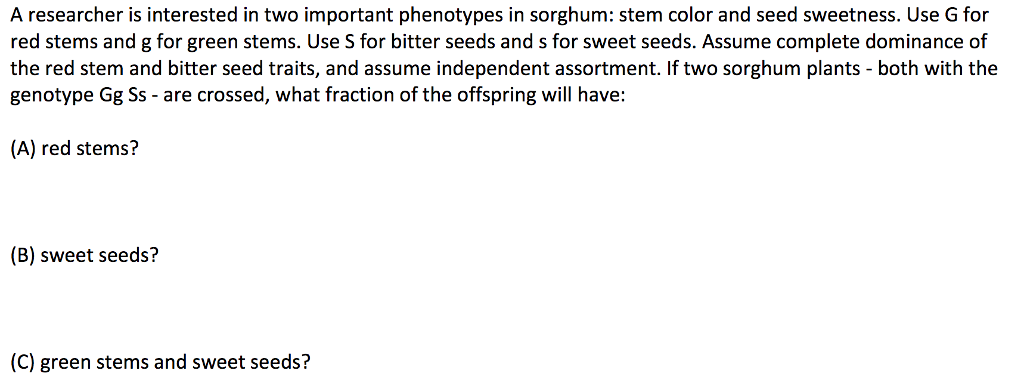 What is sorghum used for picture