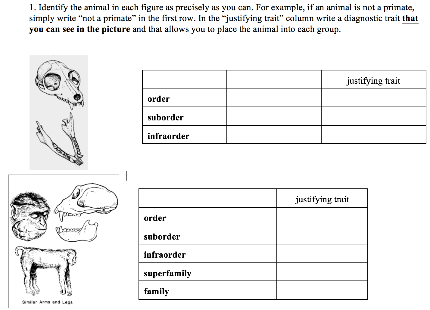 Question: Identify the animal in each figure as precisely as you can. For example, if an animal is not a pr...