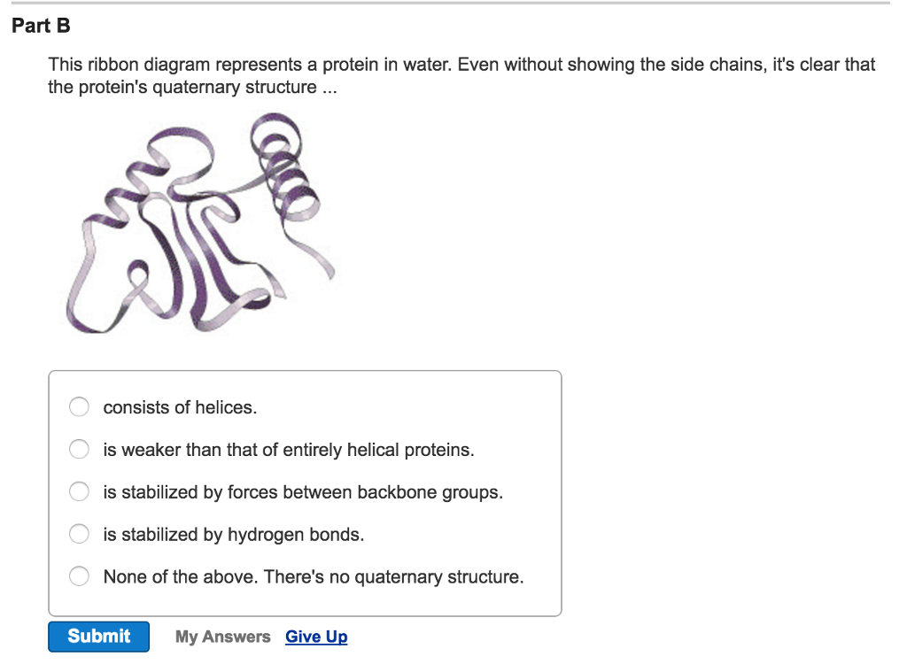 Question: This ribbon diagram represents a protein in water. Even without showing the side chains, it's cle...