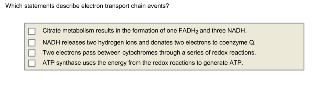 Solved Which statements describe electron transport chain | Chegg.com