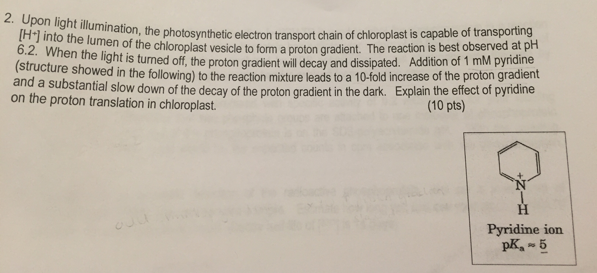 Question: Upon light illumination, the photosynthetic electron transport chain of chloroplast is capable of...