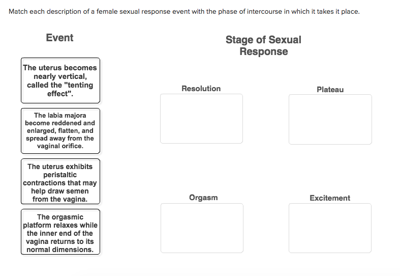 Question: Match each description of a female sexual response event withthe phase of intercourse in which i...