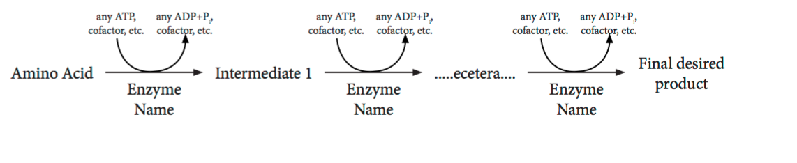 Question: Any ATP, cofactor, etc. any ADP+P cofactor, etc. any ATP any ADP+P cofactor, etc. cofactor, etc. ...