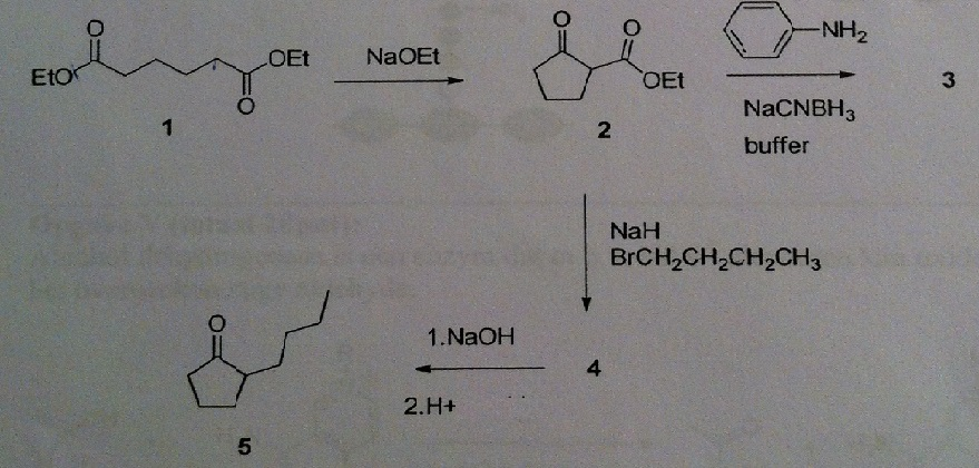 MKT-101 Questions Exam