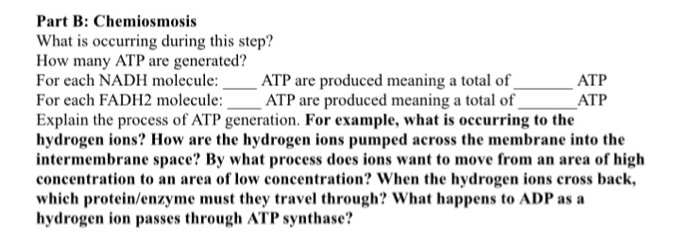 Question: What is occurring during this step?  How many ATP are generated?  For each NADU molecule:  ATP ar...