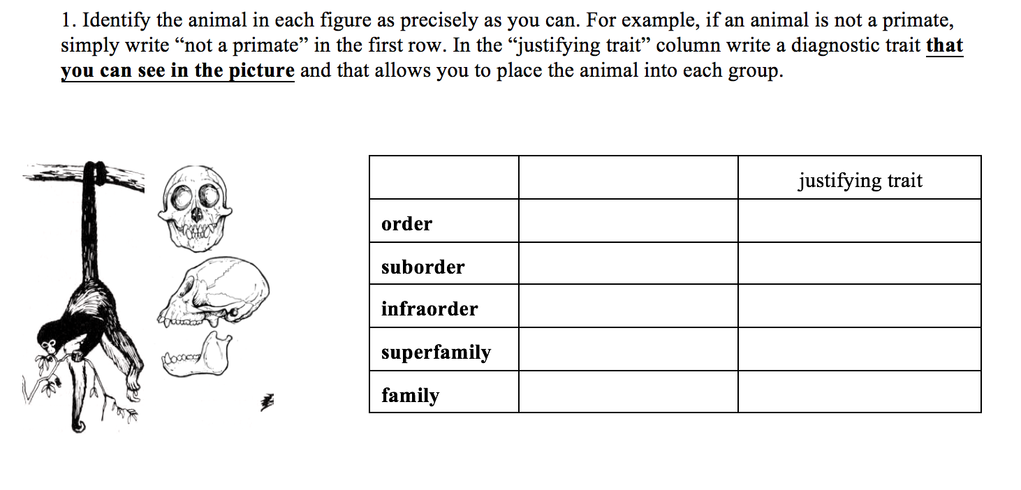 Question: Identify the animal in each figure as precisely as you can. For example, if an animal is not a pr...