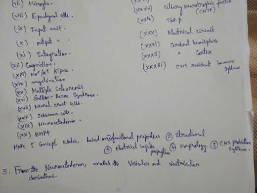 Question: Vi) Nkwten ella xxxit)