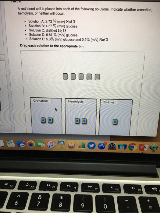 Solved A Red Blood Cell Is Placed Into Each Of The Follow...