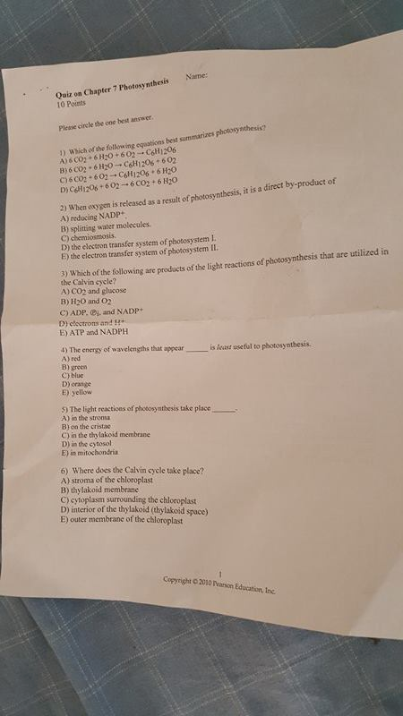 Question: Please I need the answers for the following questionsIt just multiple choice please answer all o...