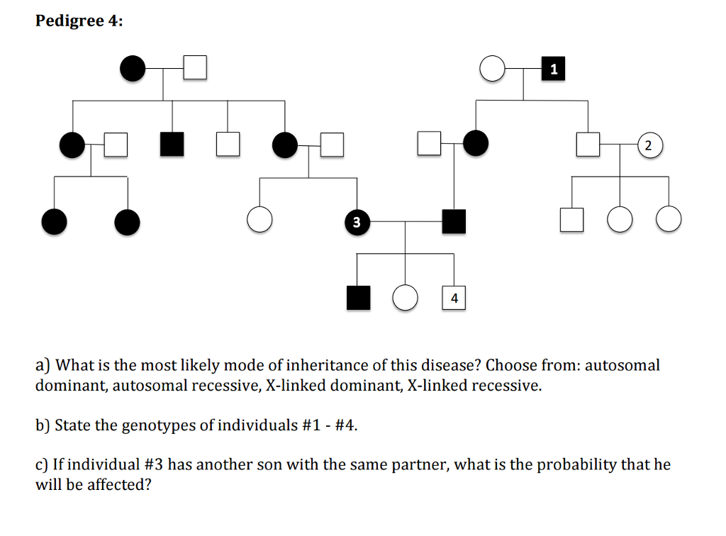 Question: In the following human pedigrees, the filled symbols representthe affected (remember that “aff...