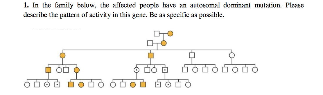 Question: In the family below, the affected people have an autosomal dominant mutation. Please describe the...