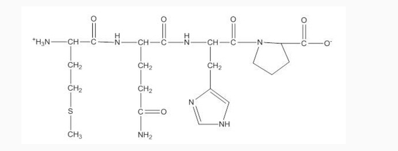 Name The Amino Acid Residues In The Peptide Shown