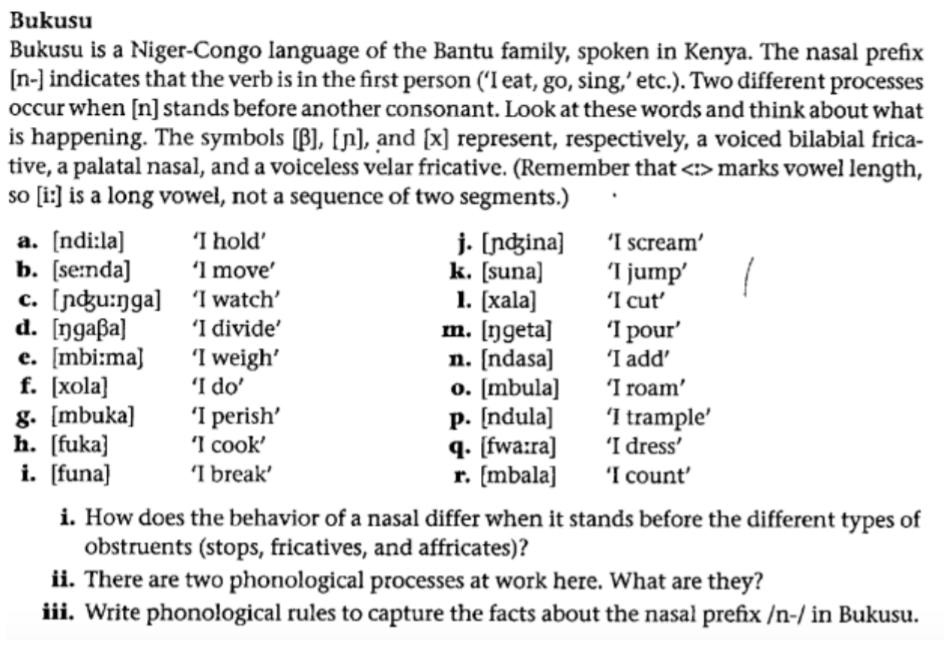 bukusu is a niger congo language of the bantu fami chegg com phonological rules