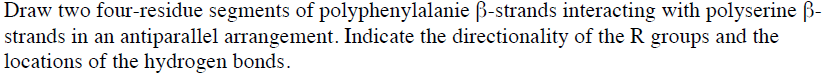 Question: Draw two four-residue segments of polyphenylalanie beta-strands interacting with polyserine beta-...