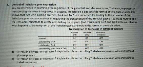Question: 3. Control of Trehalase gene expression You are interested in examining the regulation of the gen...