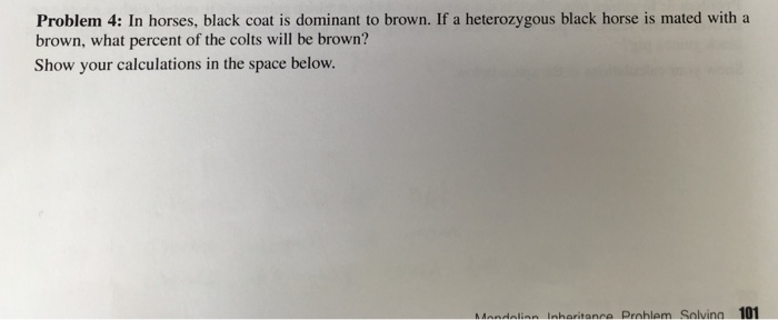 Question: In horses, black coat is dominant to brown. If a heterozygous black horse is mated with a brown, ...