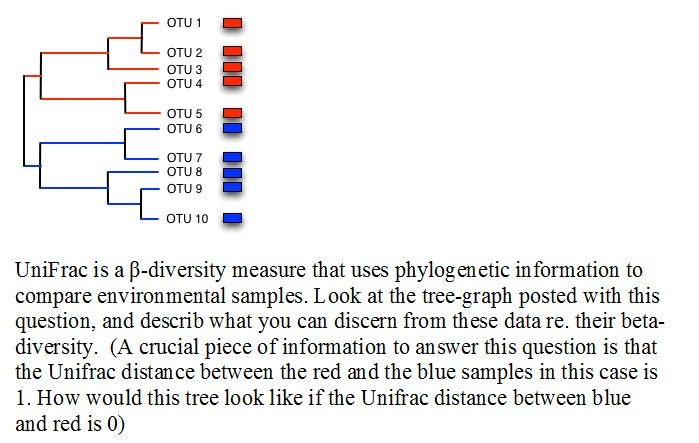 Question: UniFrac is a Beta-diversity measure that uses phylogenetic information to compare environmental s...